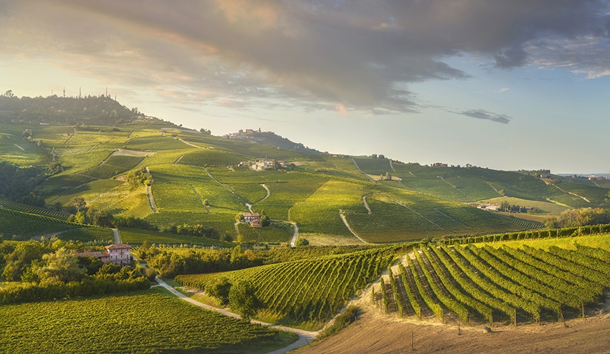 In giro per l’Italia col vitello: il Piemonte