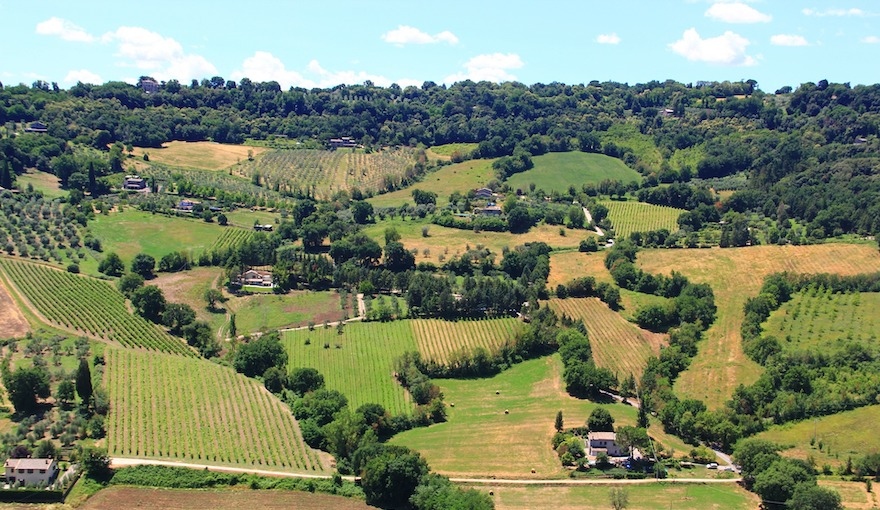 In giro per l'Italia col vitello - Ricette dell’Umbria